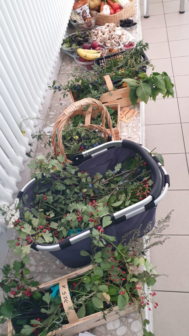 IMG 20200920 WA0011 768x1365